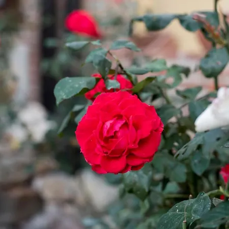 Del Mudejar * Velayos