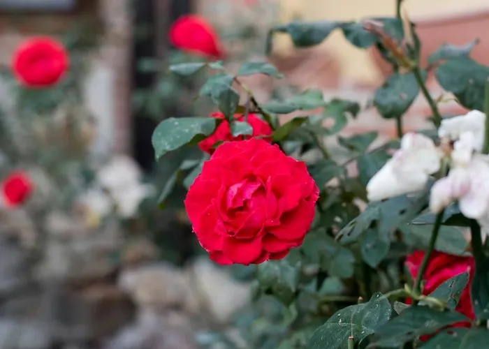 Del Mudejar * Velayos