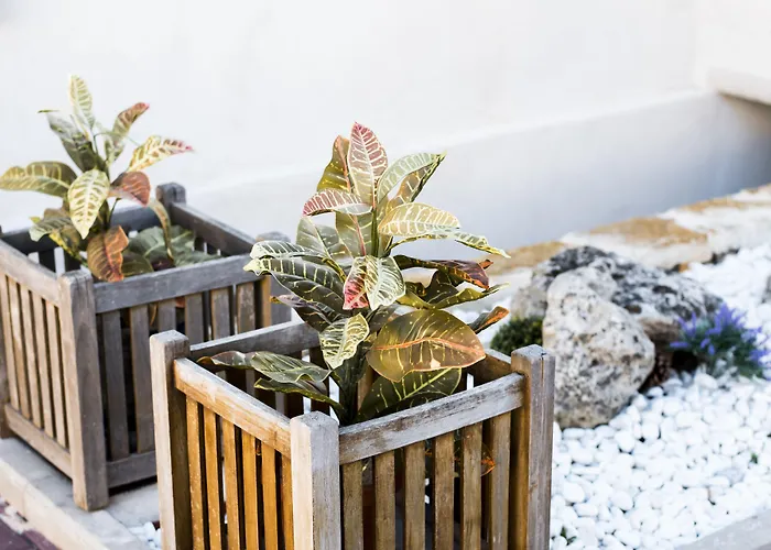 Del Mudejar Ξενοδοχείο *